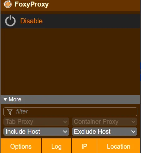 Foxy Proxy Interface