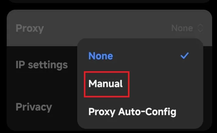 Manual Proxy Wifi settings