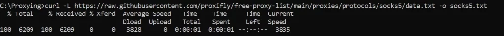 SOCKS5 proxy testing