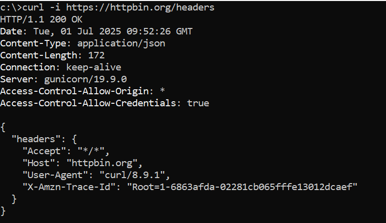 shows output of above command